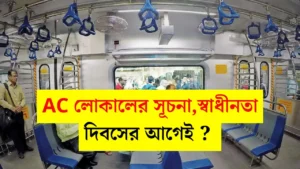 AC Local Train Big Update