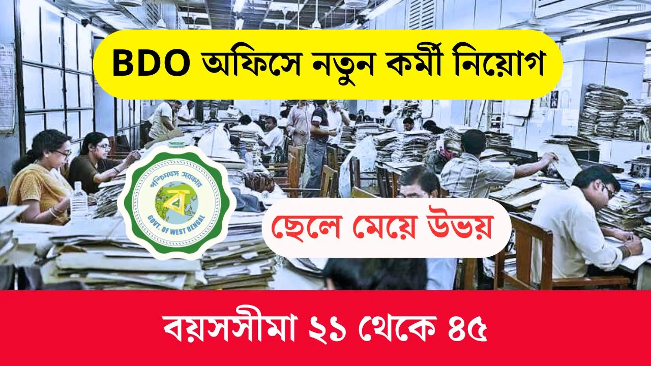 BDO Office Staff Vacancy 2025