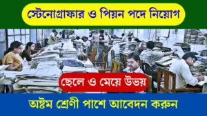 District Court Recruitment 2025